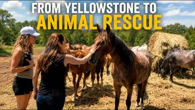 TDE100-From Yellowstone to Animal Rescue - Dawn Olivieri Builds a Sanctuary for Second Chances - Let's Talk Local with Sarah Zubiate Bennett