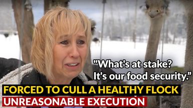 AMT360-UNREASONABLE EXECUTION | Forced to KILL "What's at stake? It's our FOOD SUPPLY." - As A Man Thinketh
