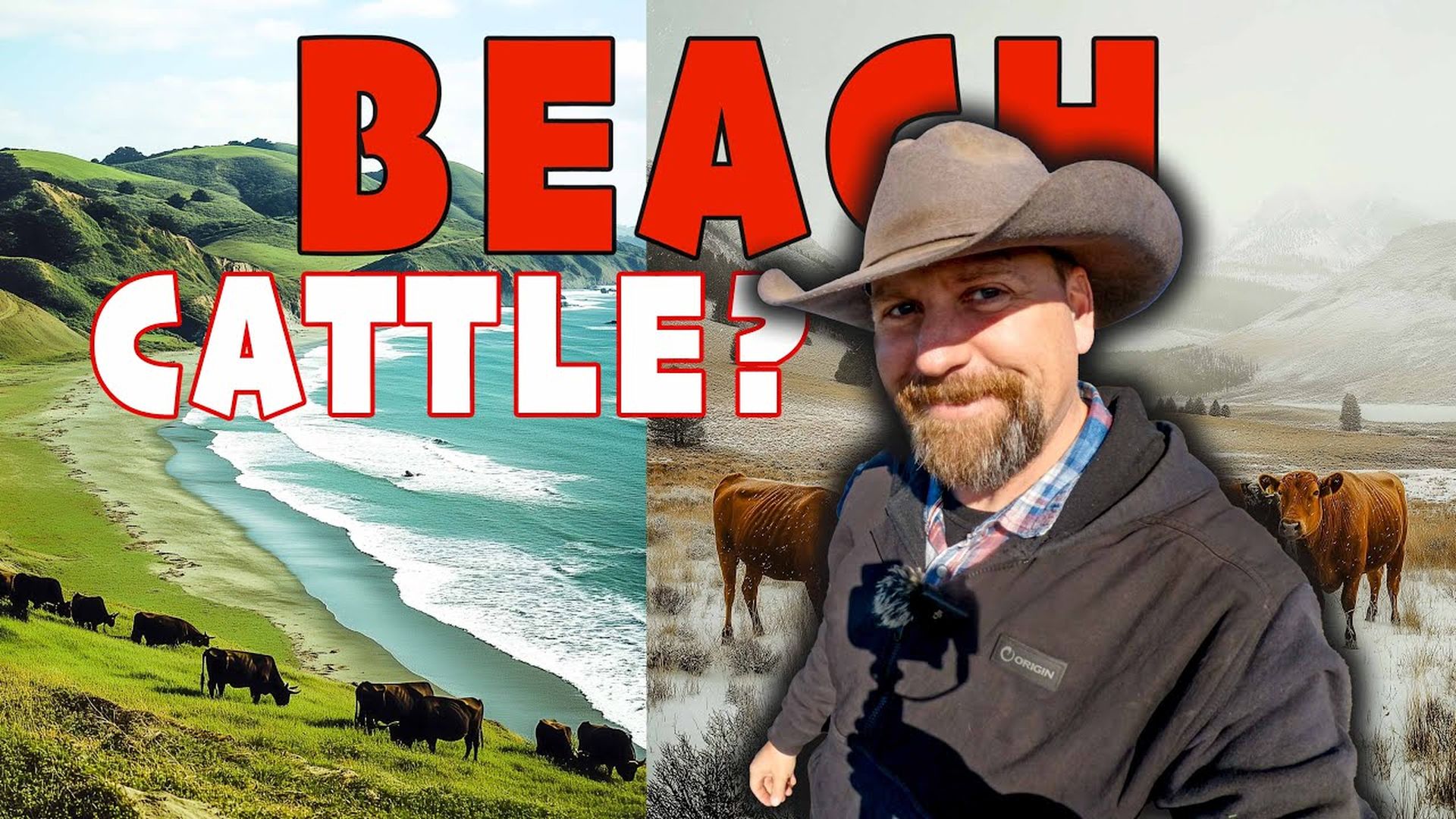 LITW121-Behind The Scenes of a Working Cattle Ranch by the Ocean! - Life in the West
