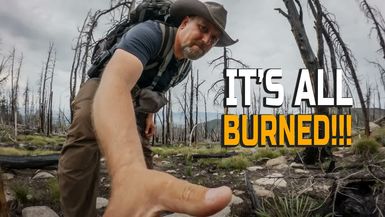 LITW162-Are 1 BILLION Forest Fires Good for Wildlife - Life In The West with Trinity Vandenacre