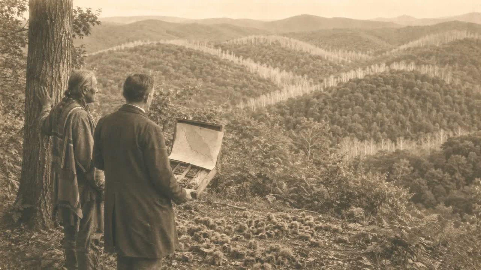 TBA60-A Fungus Reached New York in 1904 and Killed Four Billion Cherokee Chestnut Trees - The Buried Archive