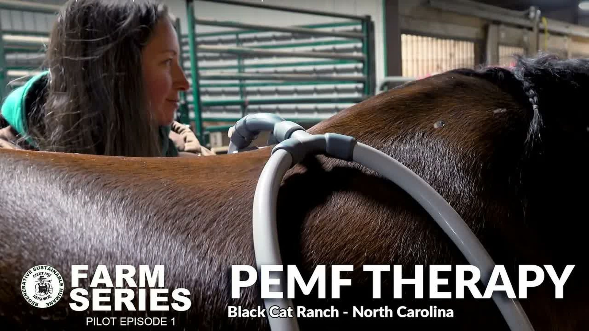 MMN1-PEMF Therapy for Horses and Livestock with Black Cat Ranch - Meet My Neighbor Productions - Farm Series