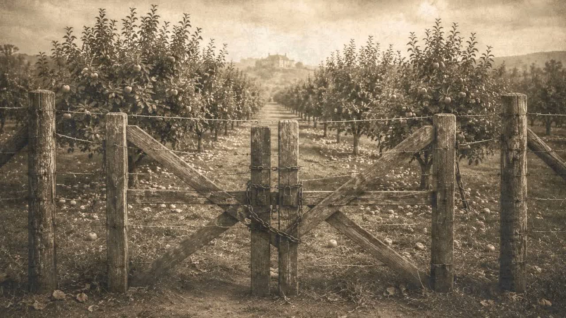 TBA82-The Dark Reason They Fenced Every Orchard On Earth - The Buried Archive