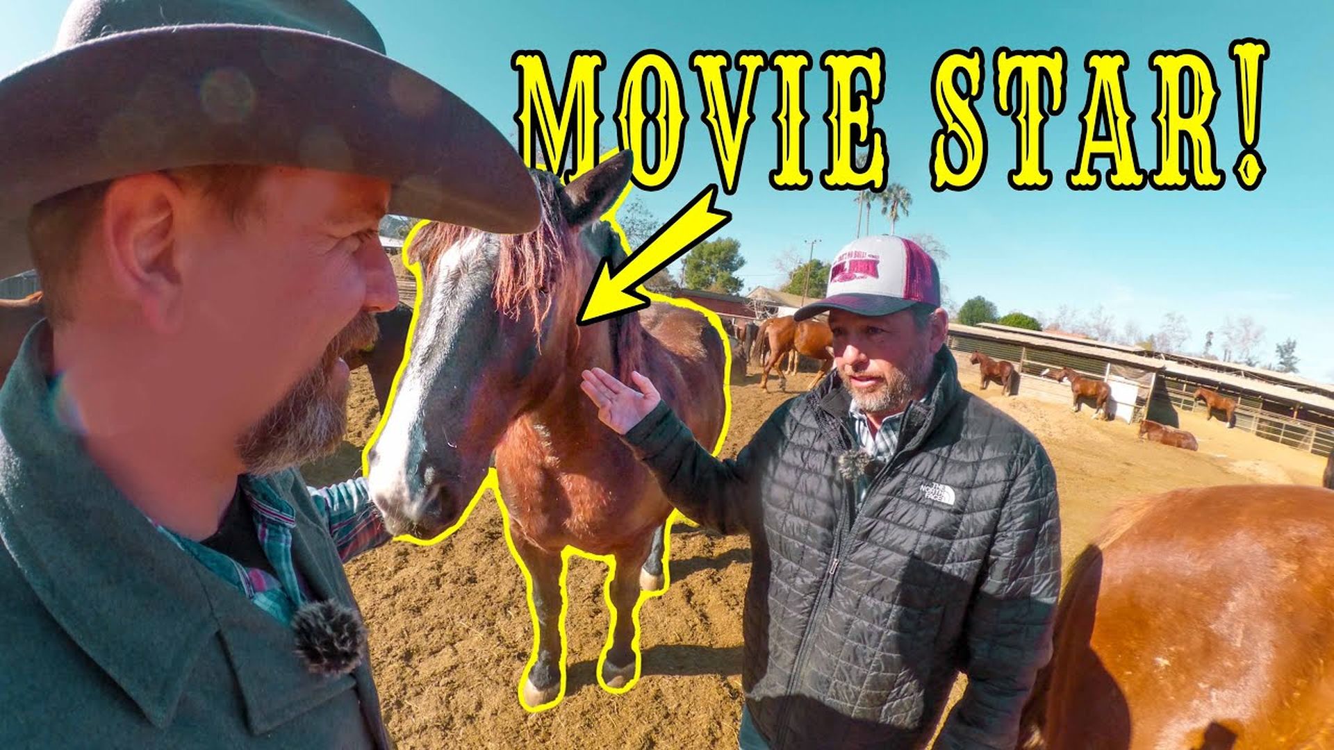 LITW120-The SECRET STARS of Hollywood: The Horses in Your FAVORITE MOVIES! - Life in the West