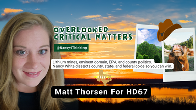 OCM33 - Matt Thorsen For HD67 - Overlooked Critical Matters