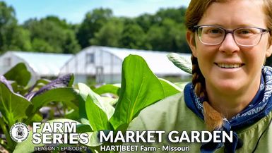 MMN5-Regenerative Market Garden Farming Farm Series S1 E2 - Meet My Neighbor Productions - Farm Series