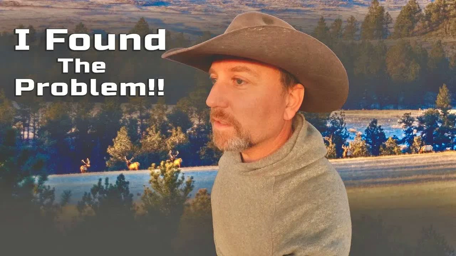 LITW156-They Say 170 000 Elk - The Great Wolf and Grizzly Bear Lie - Life In The West with Trinity Vandenacre