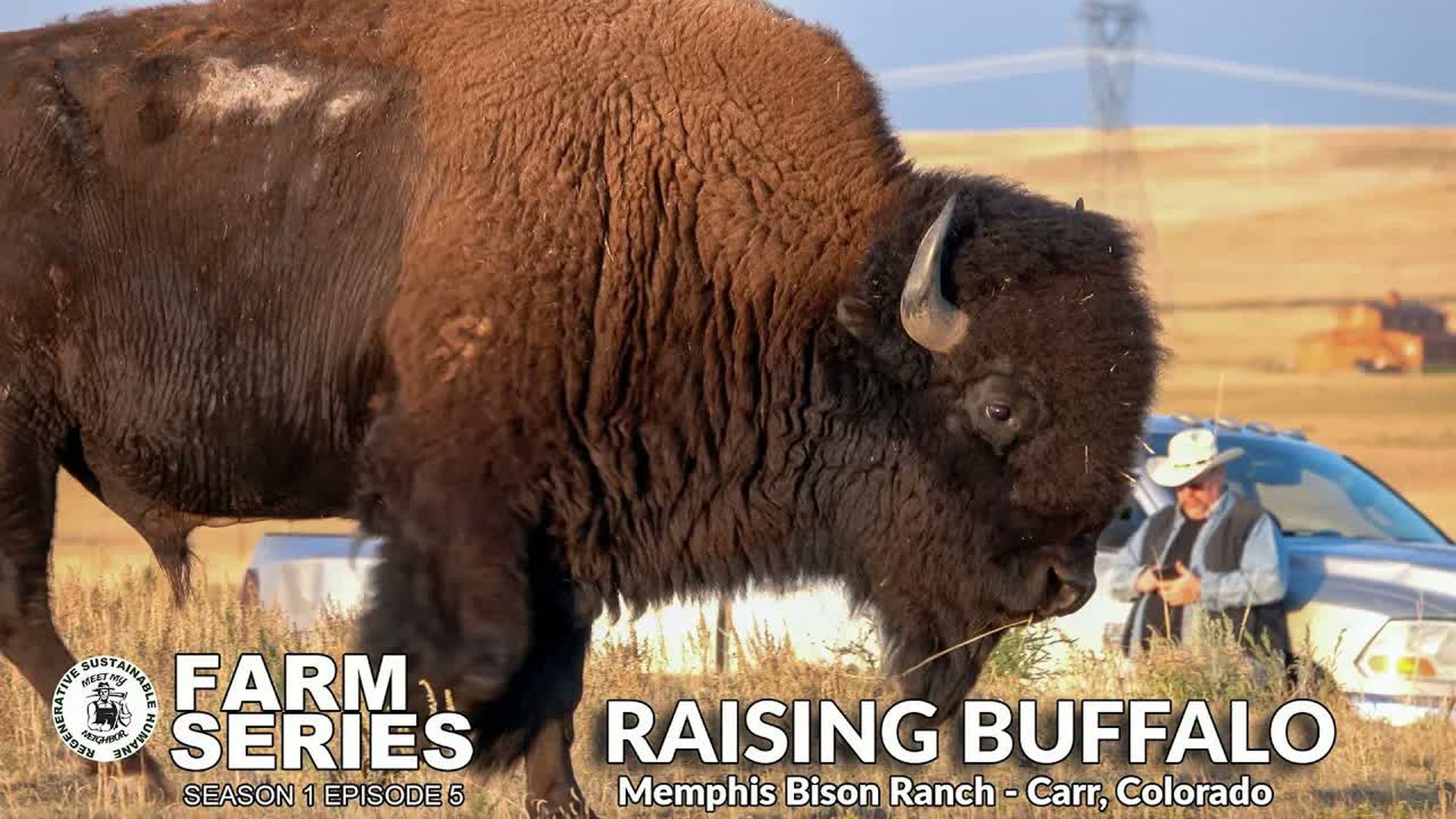 MMN8-Raising Buffalo on the Front Range Memphis Bison Ranch MMNP Farm Series S1 E5 - Meet My Neighbor Productions - Farm Series