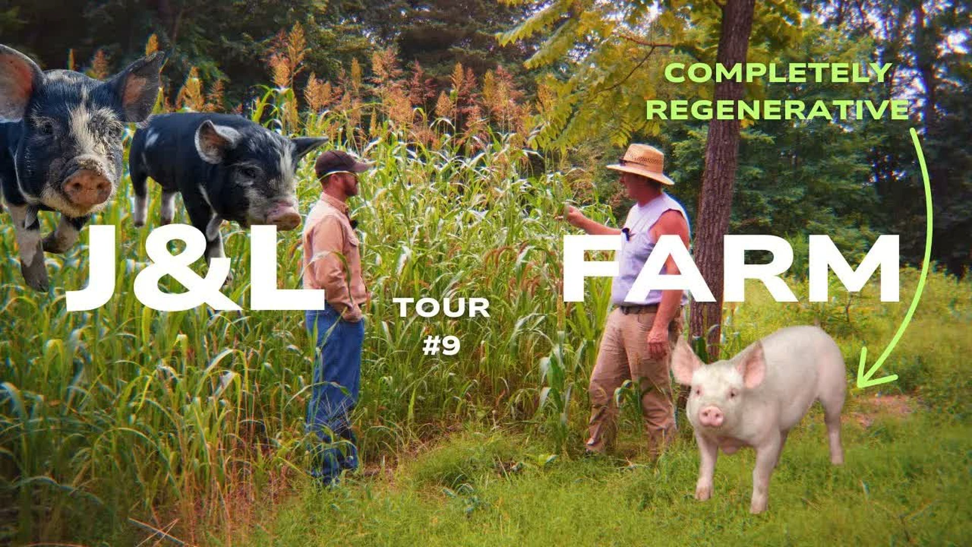 COF8-Raising Forested Pigs @ J L Green Farm - Check Out The Farms!