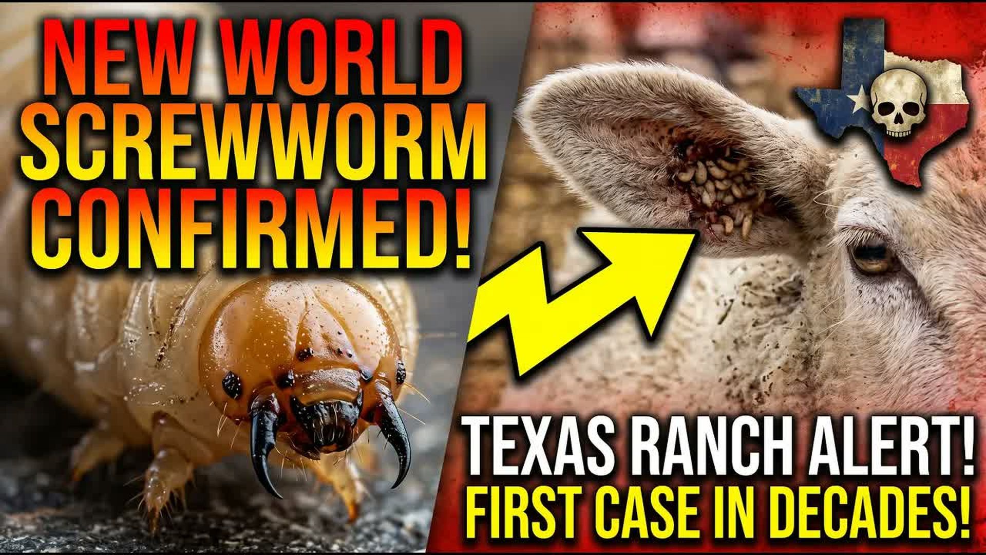 AMT490-ALERT - Flesh-Eating Parasites NEW WORLD SCREW WORM Confirmed in Texas - As A Man Thinketh - Yanasa TV