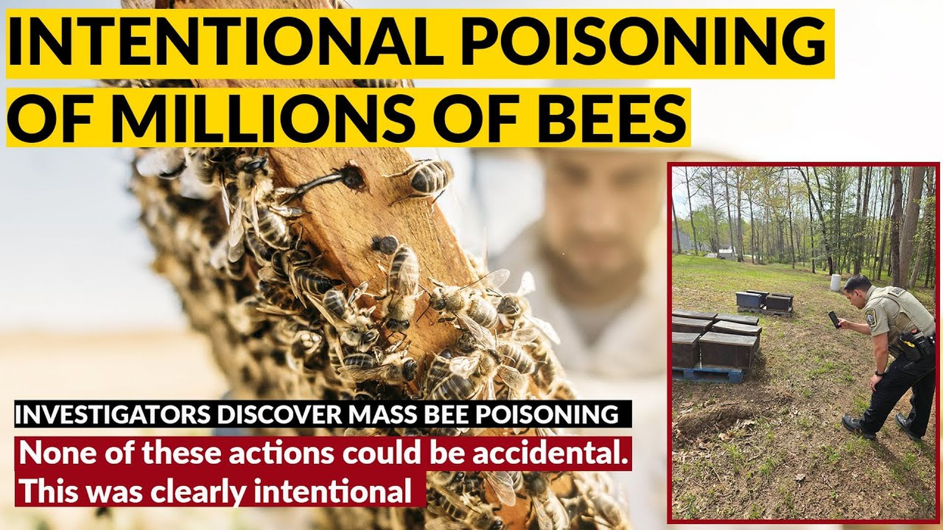AMT362-MILLIONS OF BEES POISONED "None of these actions could be accidental. THIS WAS CLEARLY INTENTIONAL" - As A Man Thinketh