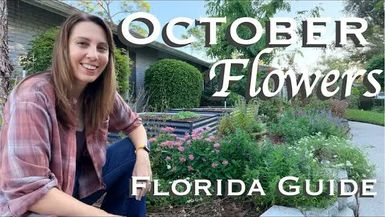 WF6-What to Plant in October in Florida Flower Garden Guide - Wild Floridian
