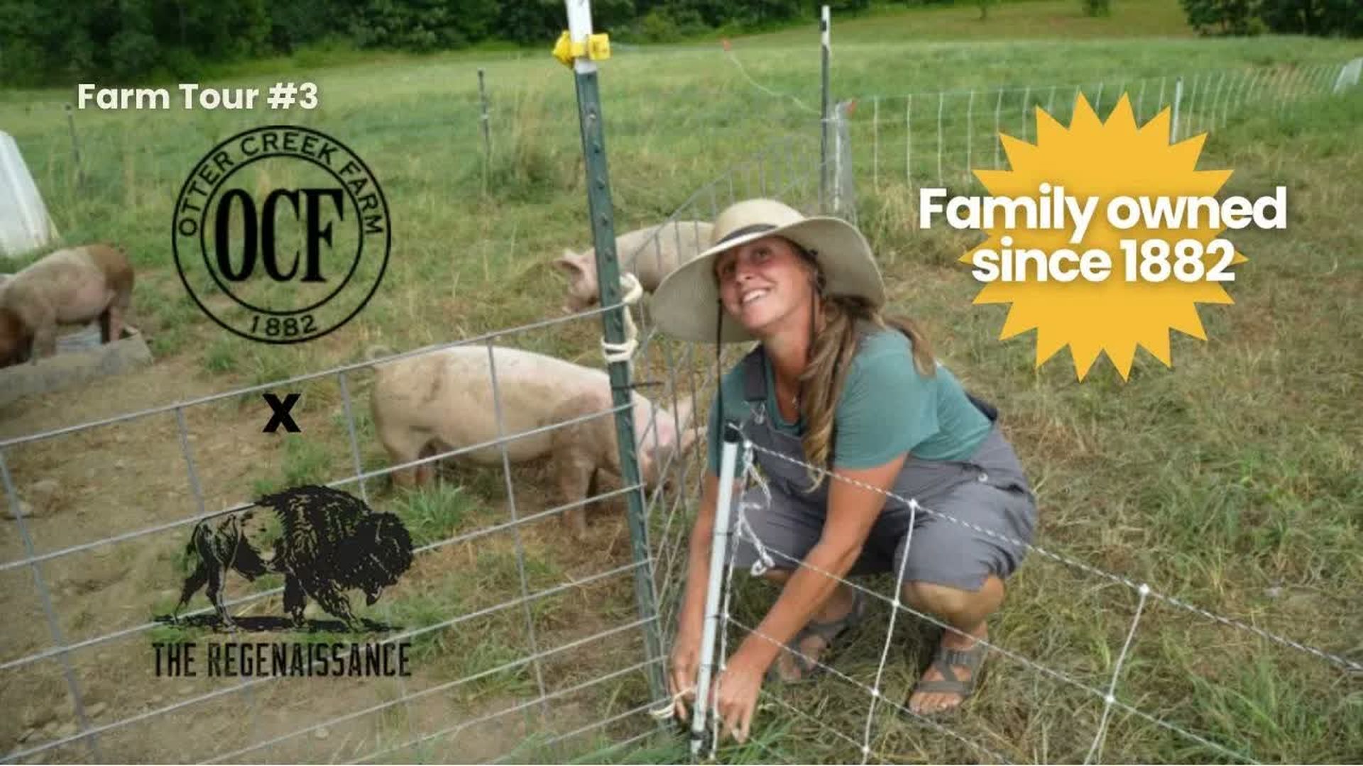 COF3-First Gen Regenerative Farmer on a Former Dairy Farm - Check Out The Farms!