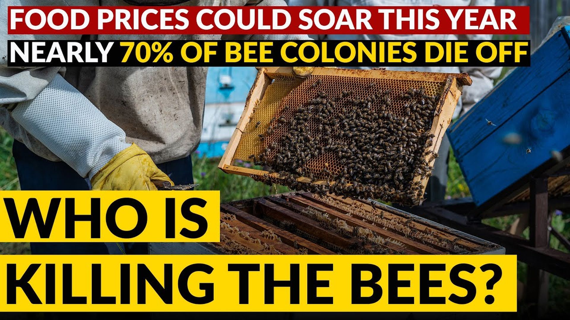 AMT354-MASSIVE BEE DIE OFF causes food security alarm | WHO or what caused it? Why Now? - As A Man Thinketh