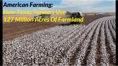 How Texas Farmers Use 127 Million Acres Of Farmland - American Farming Documentary