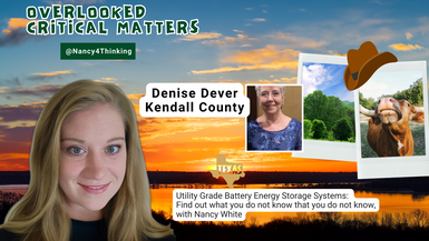 OCM4-Denise Dever, Kendall County - Overlooked Critical Matters