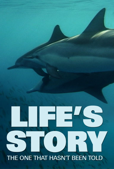 Life's Story