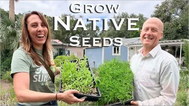 WF8-How to Start Florida Native Plants From Seed What Actually Works - Wild Floridian