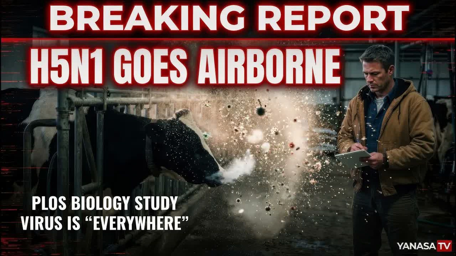 AMT485-H5N1 GOES AIRBORNE New Study Sends Governments Scrambling - As A Man Thinketh - Yanasa TV