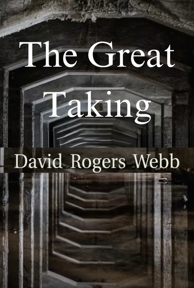 The Great Taking- David Webb