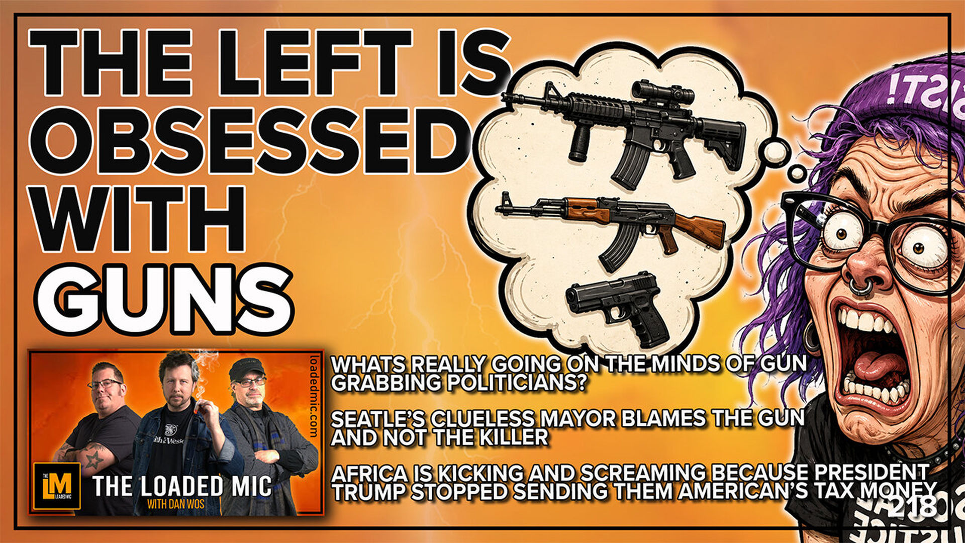TLM6-WHATS REALLY GOING ON THE MINDS OF GUN GRABBING POLITICIANS - The Loaded Mic