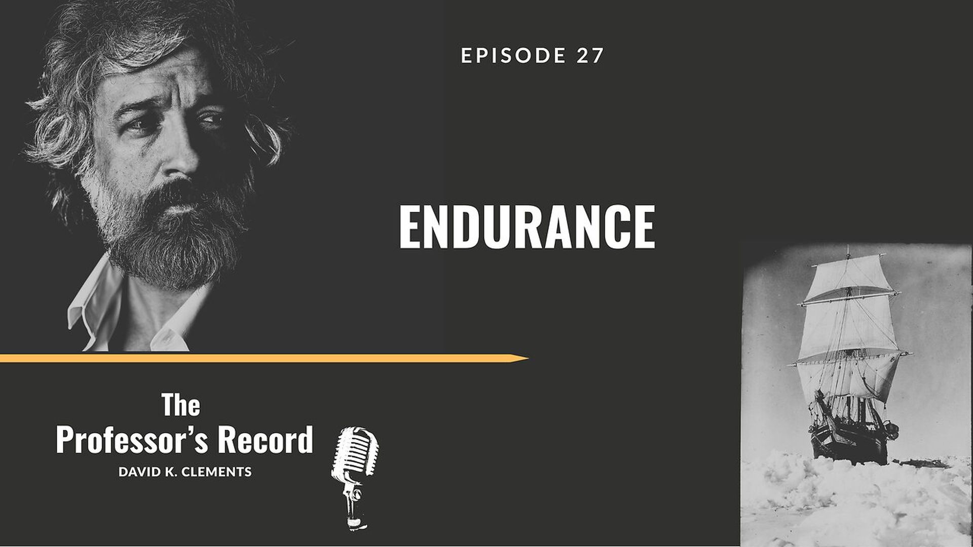 TPR37-ENDURANCE - The Professors Record