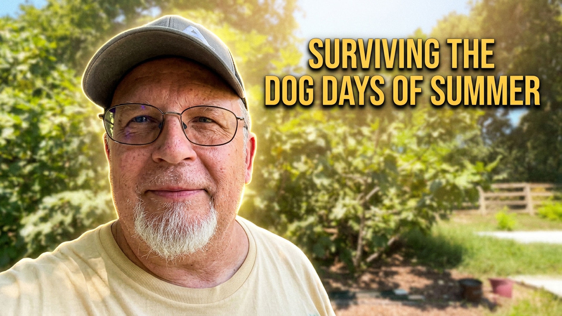 TDBG51-Dog Days of Summer, Part 1 - Fig Trees, Fierce Heat & Protecting the Flock - Two Doves Bees & Gardens
