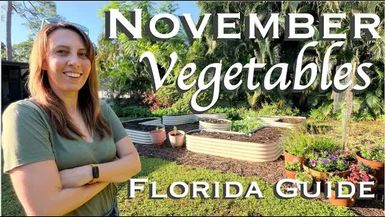 WF10-What to Plant in November in Florida Vegetable Garden Guide - Wild Floridian