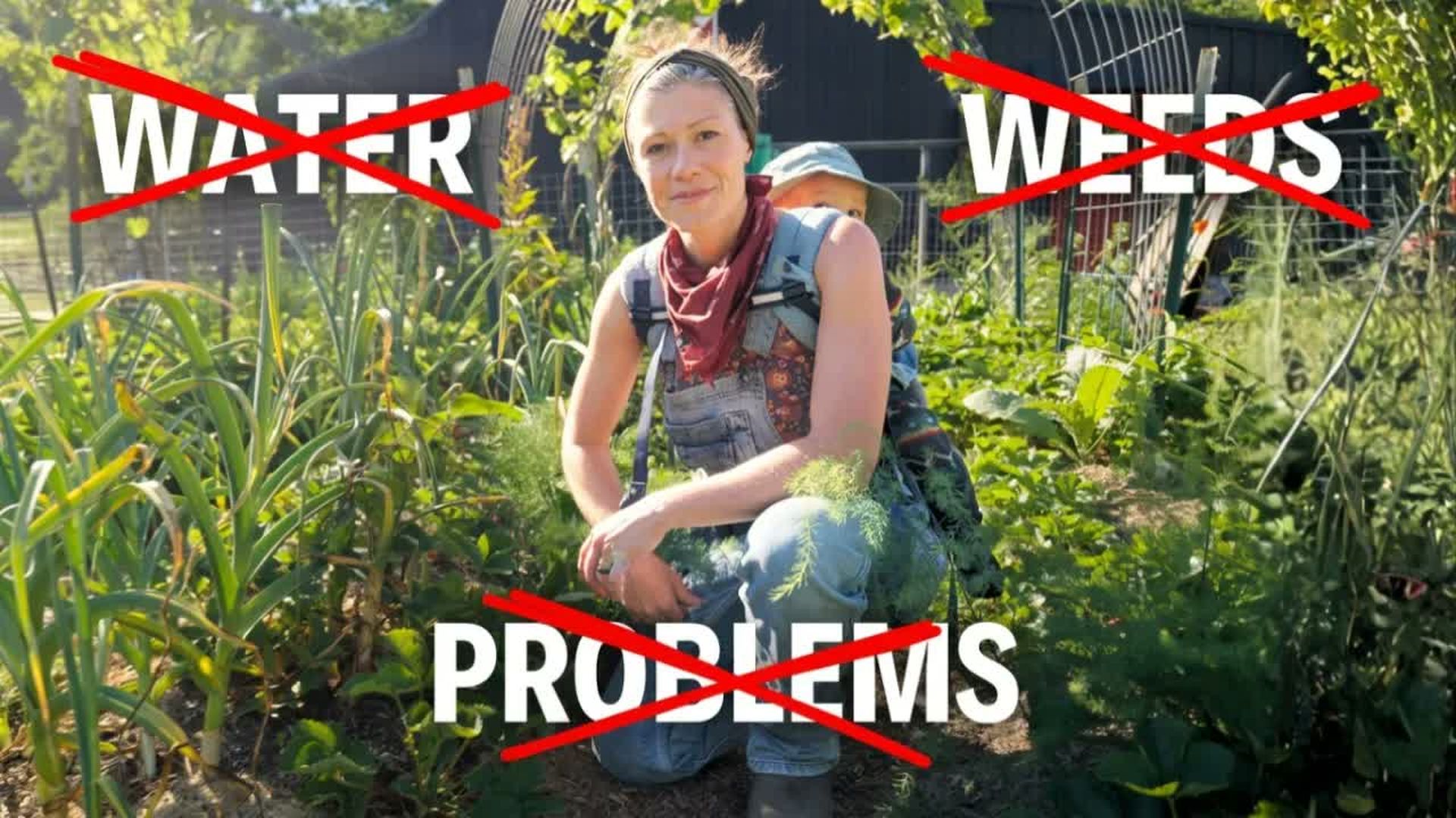 AAT1-The Lazy Garden is THRIVING FULL May Garden Tour 2026 - Anne of All Trades