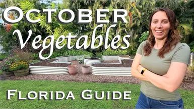 WF5-What to Plant in October in Florida Vegetable Garden Guide - Wild Floridian