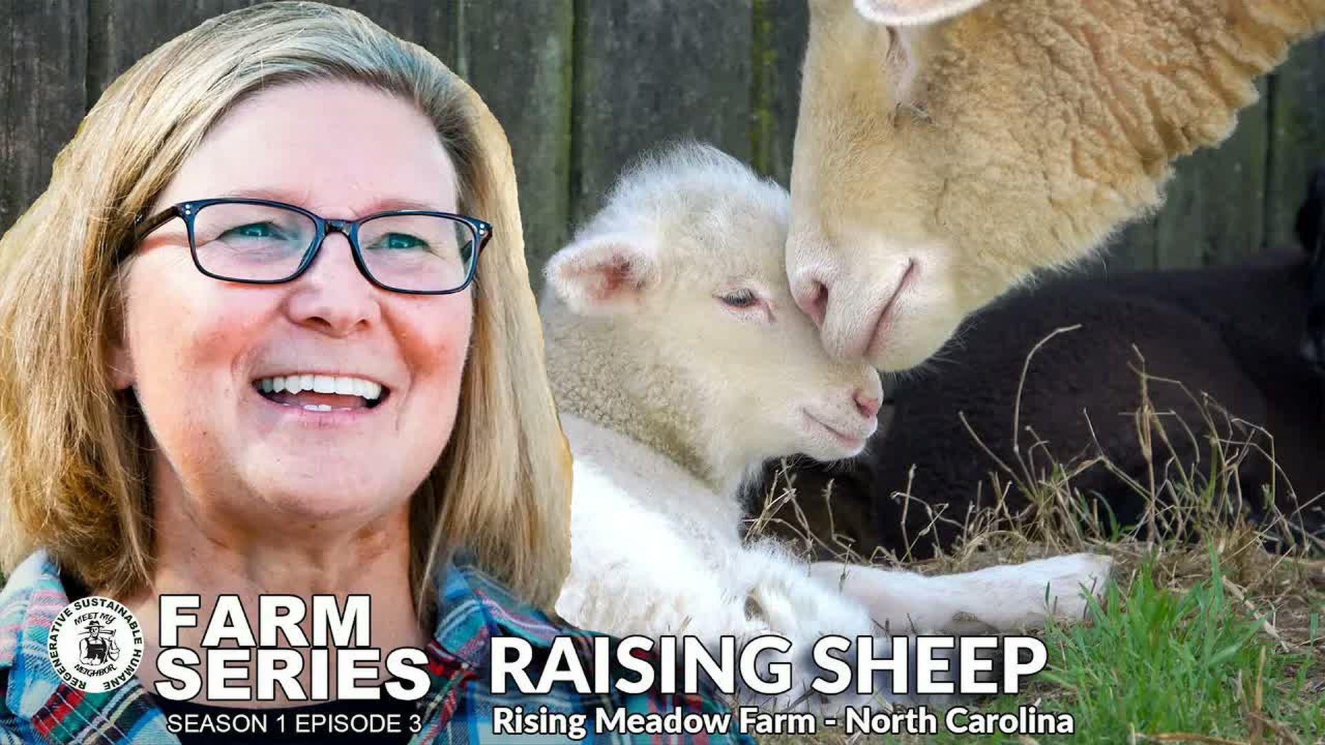 MMN6-Raising Sheep Farm Series S1 E3 - Meet My Neighbor Productions - Farm Series