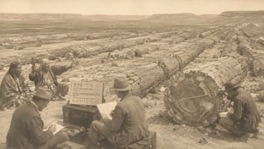 TBA55-What the Hopi Said About the Stone Trees of the Painted Desert Documented in 1894 - The Buried Archive