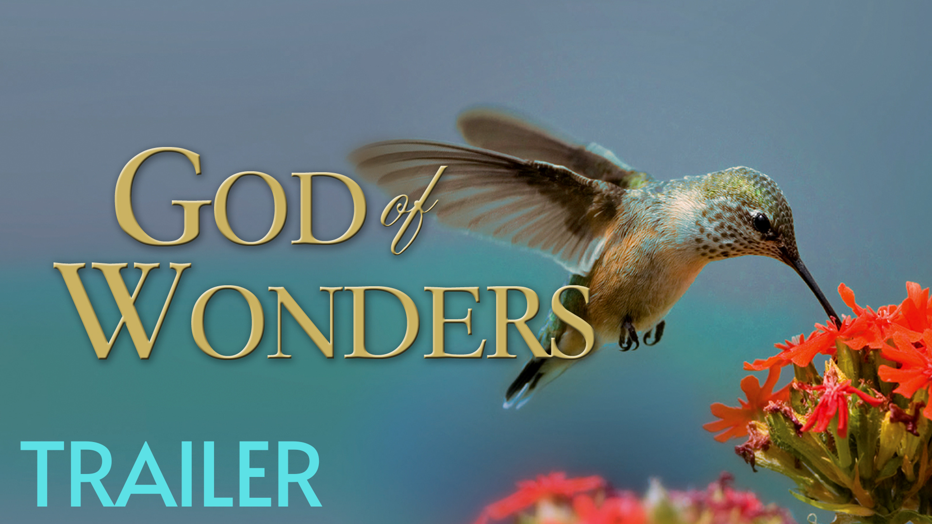 Trailer-God of Wonders