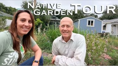 WF7-Florida Native Garden Tour - How He Built a Backyard Ecosystem - Wild Floridian