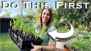 3-What to Do NOW for Your Florida Fall Garden - Wild Floridian