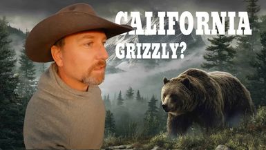 HLS16-The REAL Cost of California Grizzly Bear - High Lonesome Society - Trinity Vandenacre