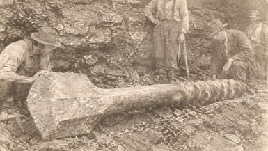 TBA129-The Ancient Tool Found in a Kentucky Coal Seam Is Made of a Metal With No Known Alloy - The Buried Archive