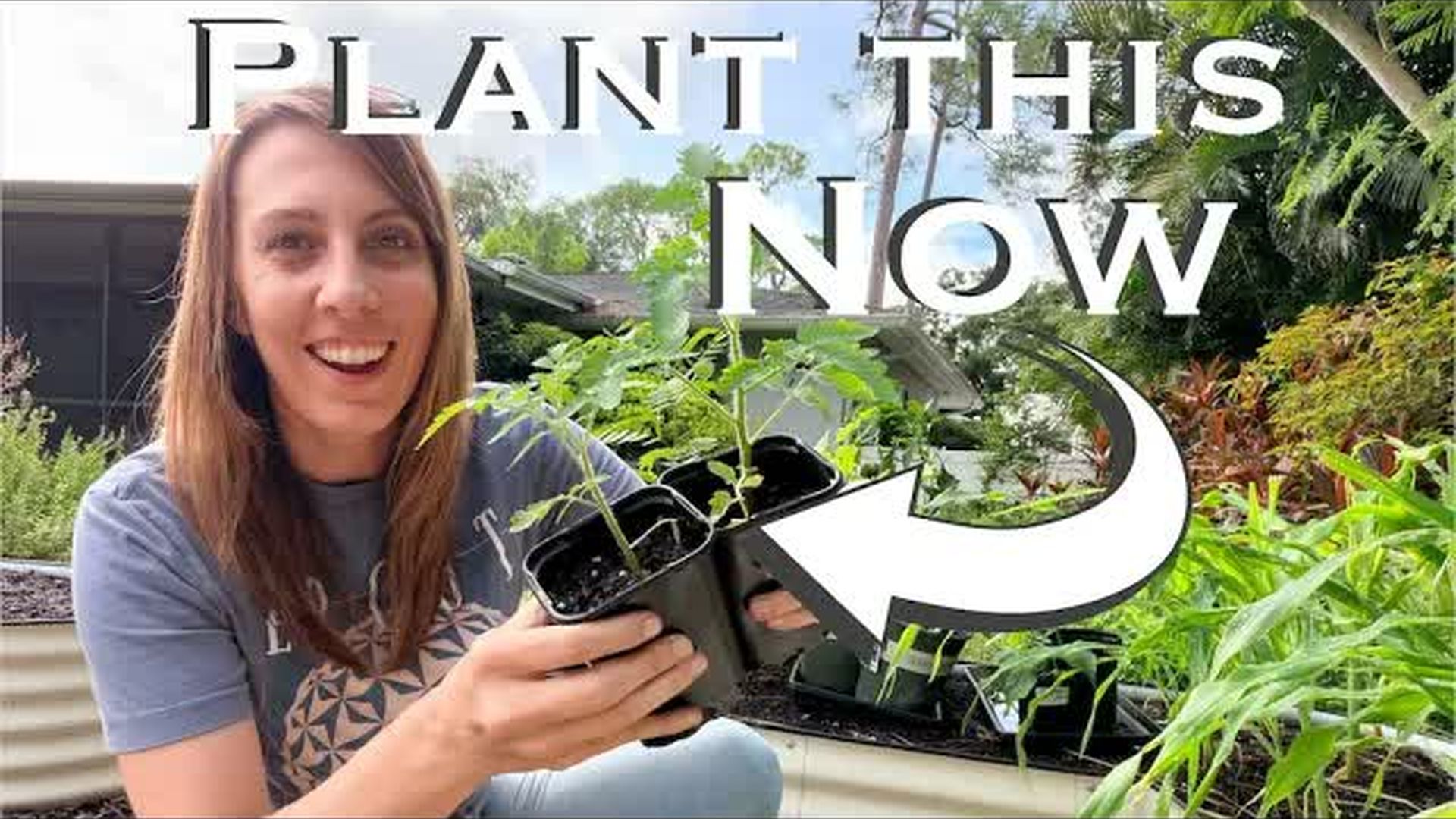 WF4-What I m Planting NOW in My Florida Fall Garden - Wild Floridian