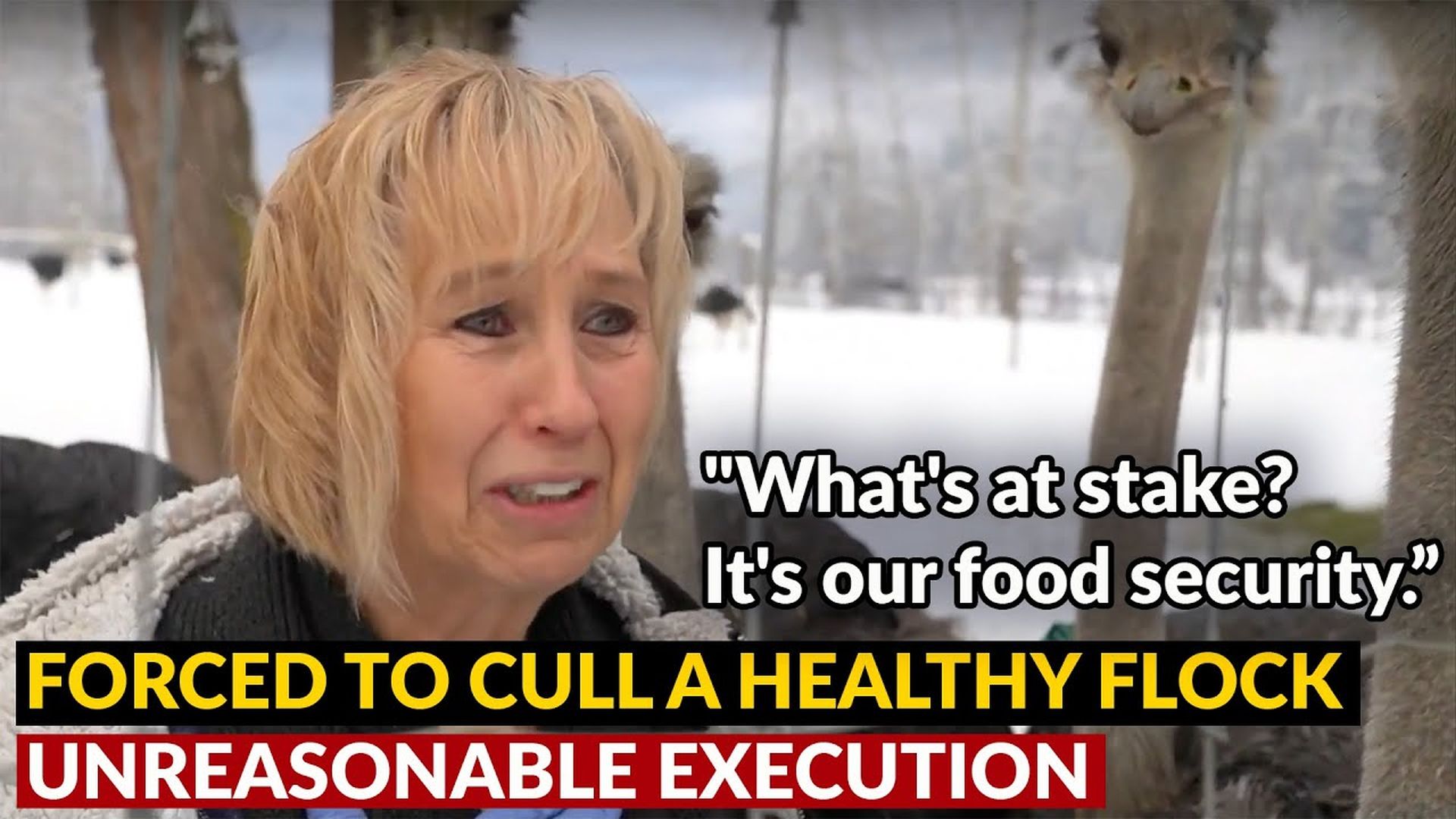 AMT360-UNREASONABLE EXECUTION | Forced to KILL "What's at stake? It's our FOOD SUPPLY." - As A Man Thinketh