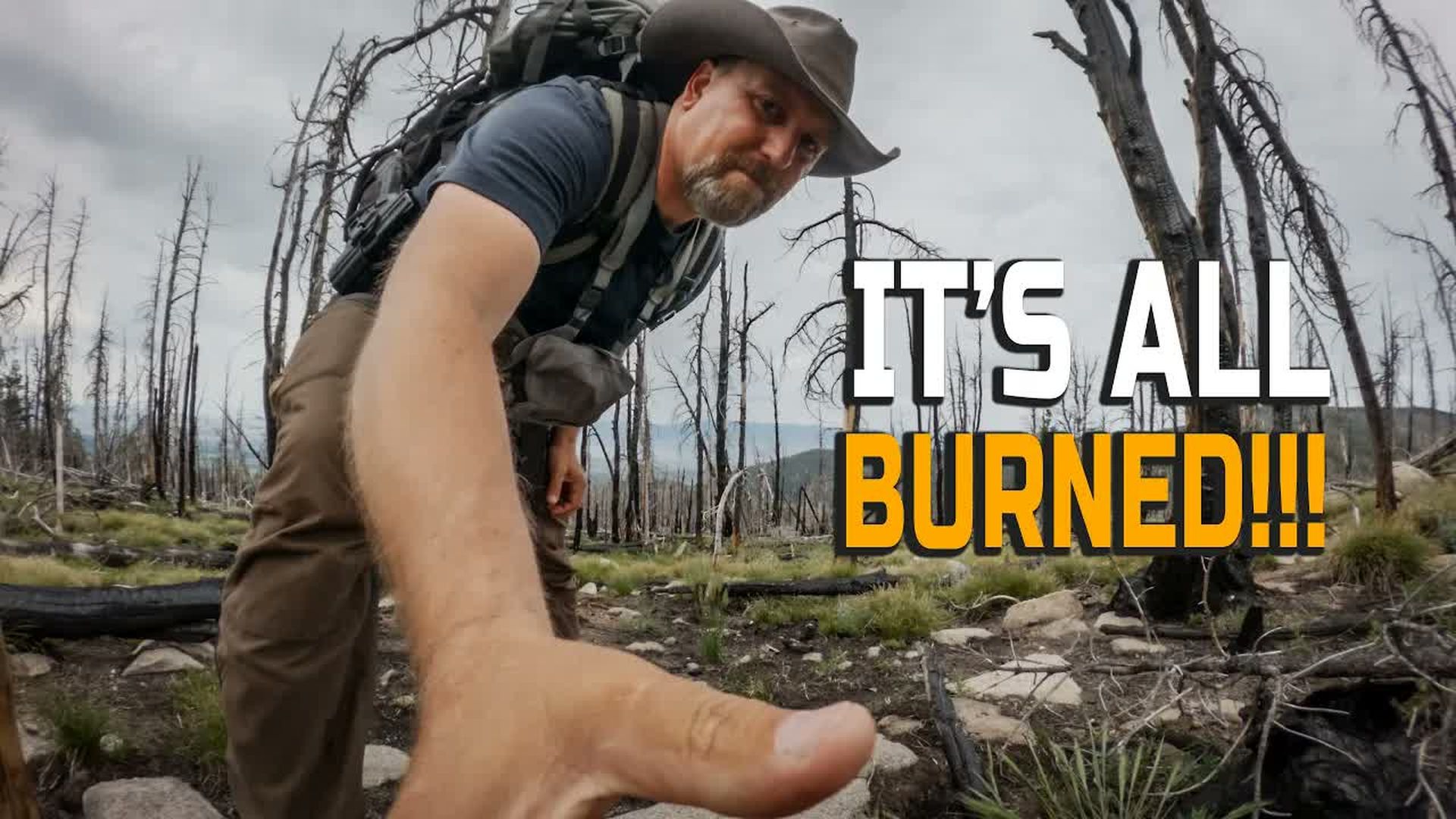 LITW162-Are 1 BILLION Forest Fires Good for Wildlife - Life In The West with Trinity Vandenacre
