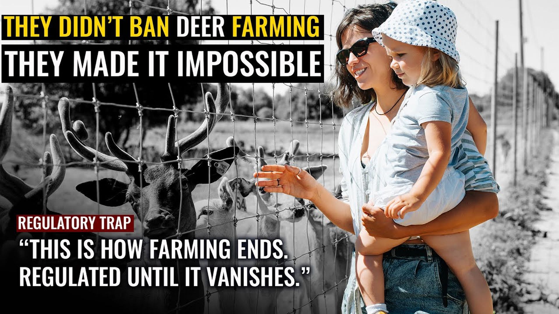 AMT469-GOOD BYE VENISON | Now, they're BANNING DEER FARMING and it's going to court in Minnesota | As a Man Thinketh