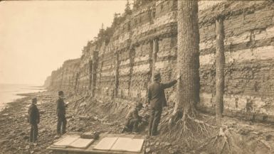 TBA62-The Cliffs Where Whole Trees Stand Upright Inside Solid Rock Nova Scotia - The Buried Archive