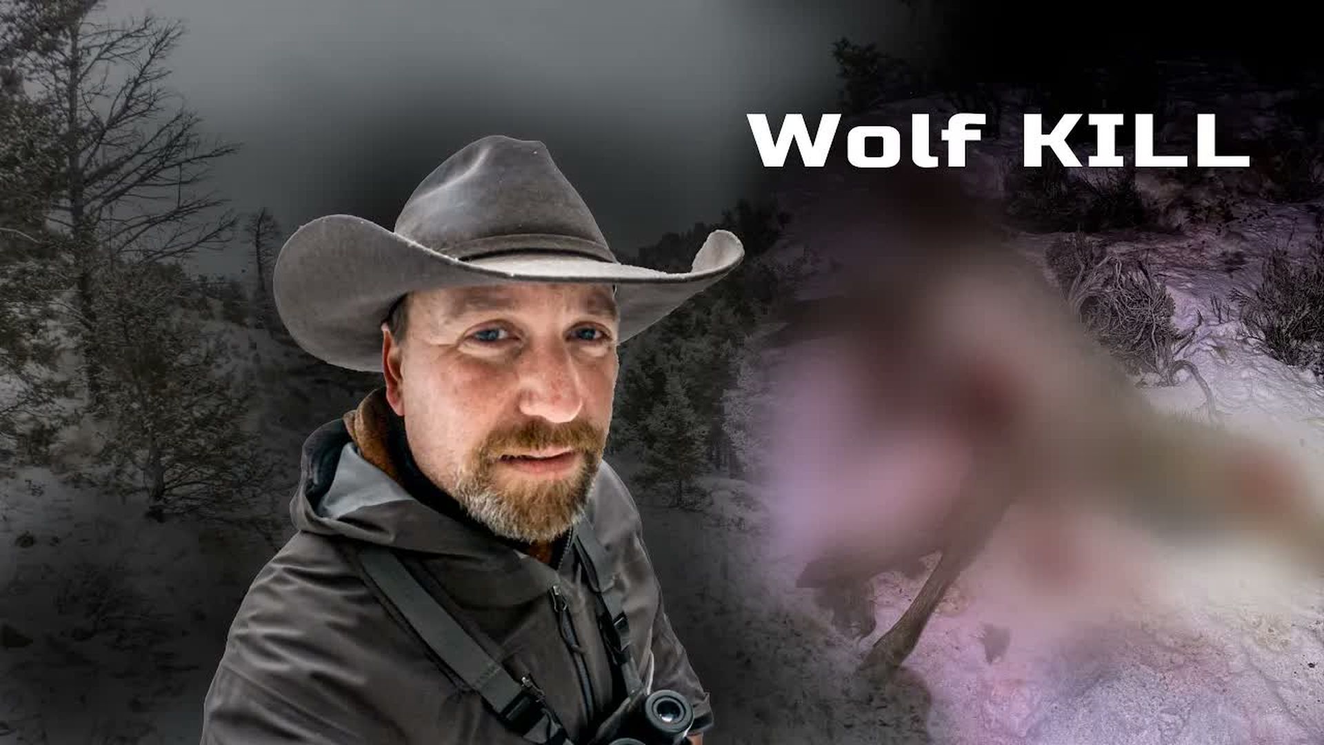 LITW153-The Wolf Lie - Exposing the Real Predator Problem - Life In The West with Trinity Vandenacre
