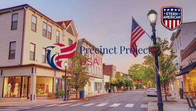 SAE15-Precinct Strategy Explained: Tools, Data & Winning Local Leadership with Andy Meehan - Stern American - Election Integrity