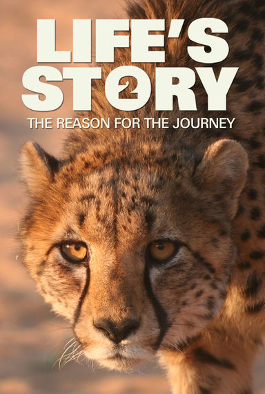Life's Story Part 2