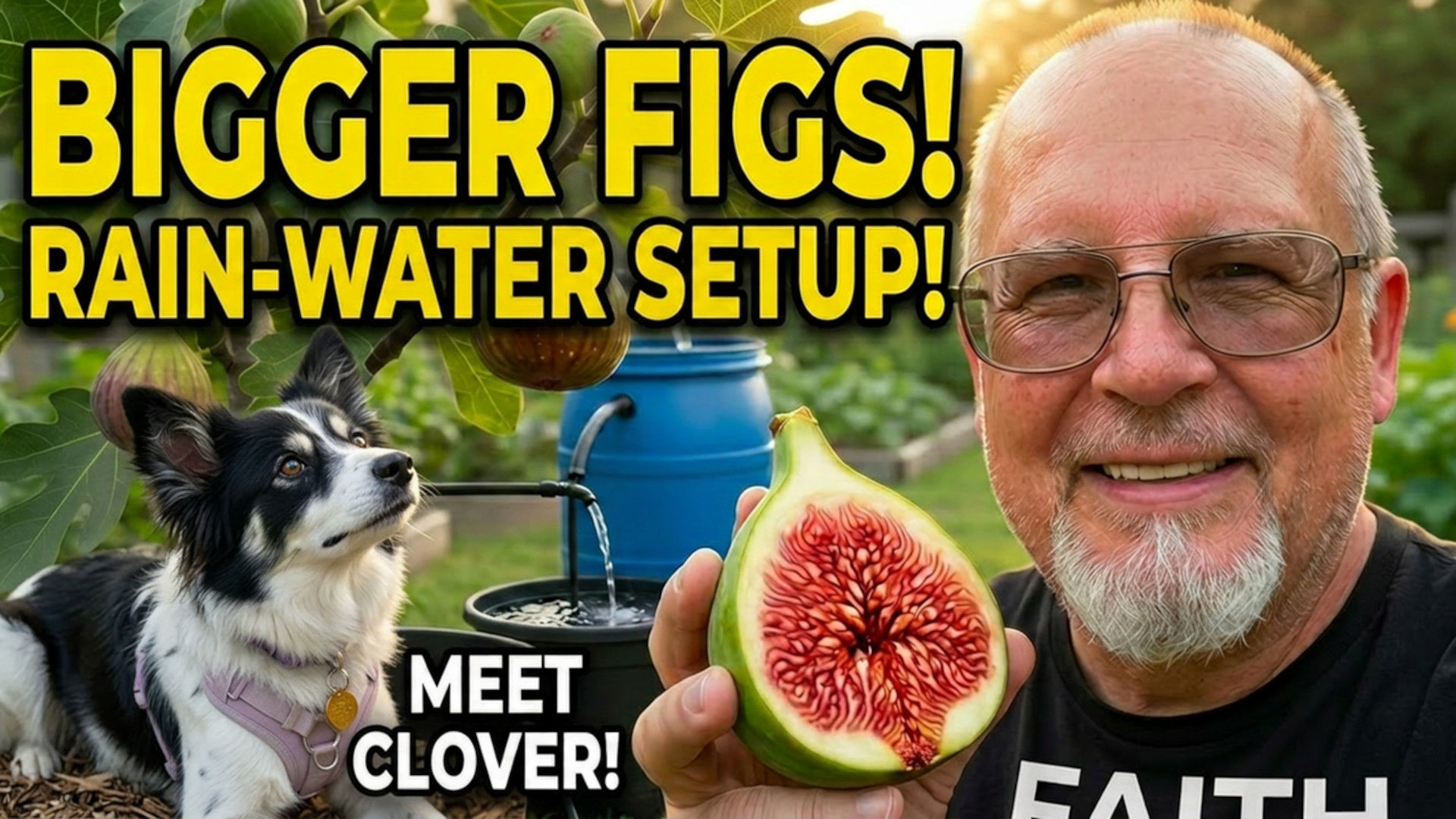 TDBG49-Bigger Pots, Bigger Figs! Summer Setup, Rain‑Barrel Watering & Meet Clover the Rescue Pup - Two Doves Bees & Gardens
