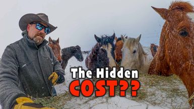 LITW124-Snow Storms & Steak: What BIG BEEF Doesn't Want you to Know! - Life in the West