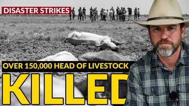 AMT356-OVER 150,000 HEAD OF LIVESTOCK KILLED and we're just beginning the count - As A Man Thinketh
