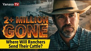 AMT494-2+ Million Head of Beef Capacity Just Vanished What This Means for Ranchers - As A Man Thinketh - Yanasa TV