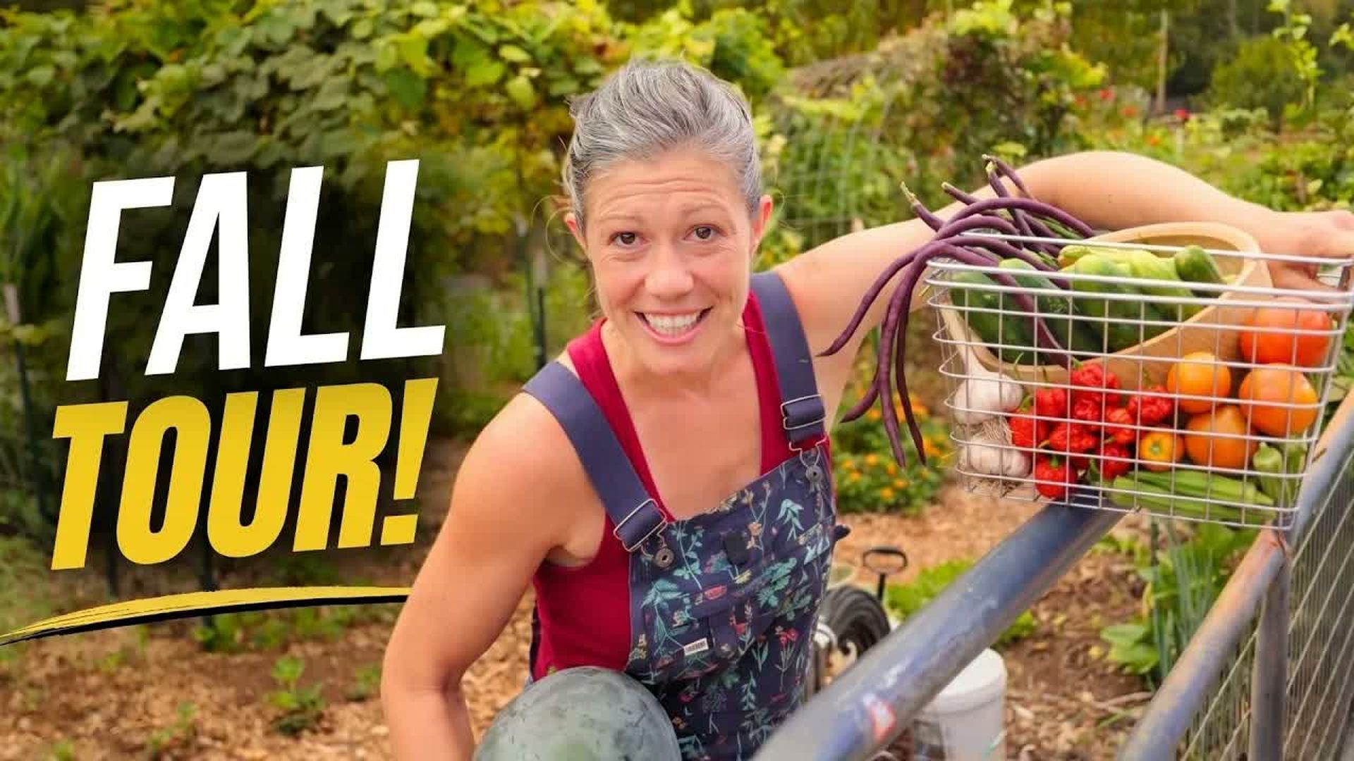 AAT9-The Lazy Garden is THRIVING On Neglect FULL Fall Garden Tour 2026 - Anne of All Trades